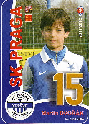 Martin Dvořák